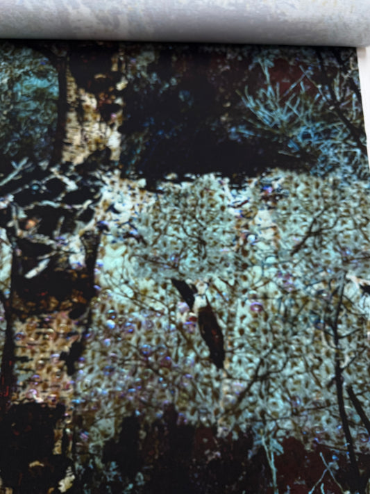 Exclusief dessin punta Forrest